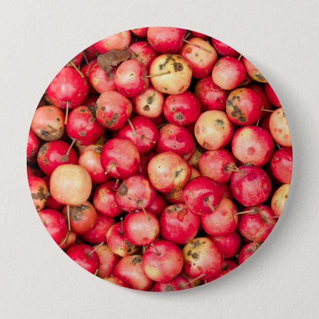Organic apples 4 inch round button (Front)