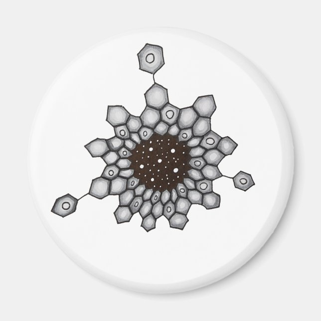 Organic Chemistry Aromatic Structure Space Stars Magnet (Front)