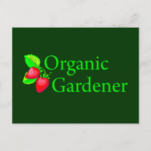 Organic Gardener - Strawberries Postcard