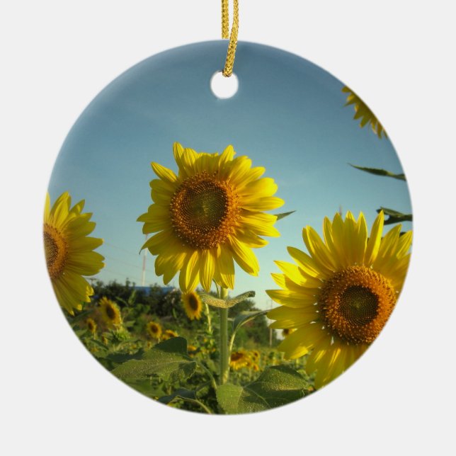 Organic Gardening Ornament (Front)