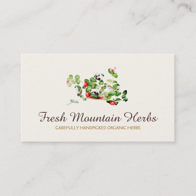 Organic Herbalist Herb Gardener Holistic Health Business Card (Front)