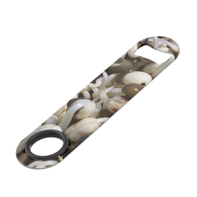 Organic Mung Sprouts – A Nutrient-Packed Superfood Bar Key (Front Angled)