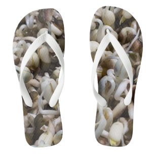 Organic Mung Sprouts – A Nutrient-Packed Superfood Flip Flops