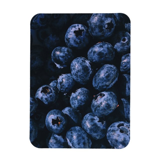 Organic Ripe Bunch of Blueberries Magnet (Vertical)