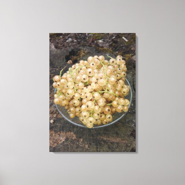 Organic White Currants From The Garden Canvas Print (Front)
