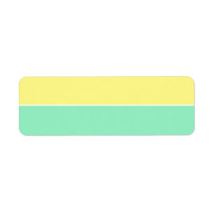 Organisation de stockage Jaune & Seafoam vide