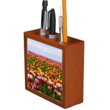 scène nature, cadeaux d'écrivains, bureau d'écriva