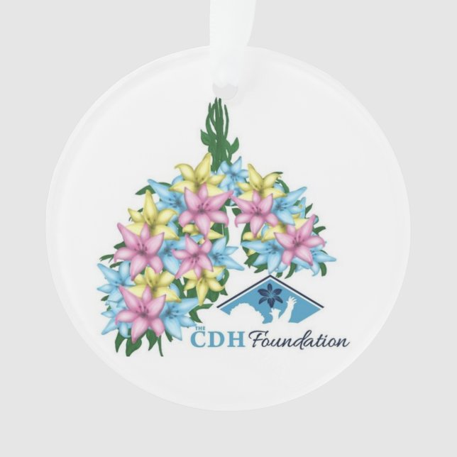 Organisme acrylique de sensibilisation CDH (devant)
