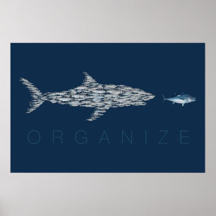 Organize Fish Poster