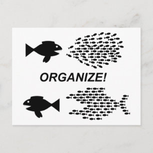 Organize postcard