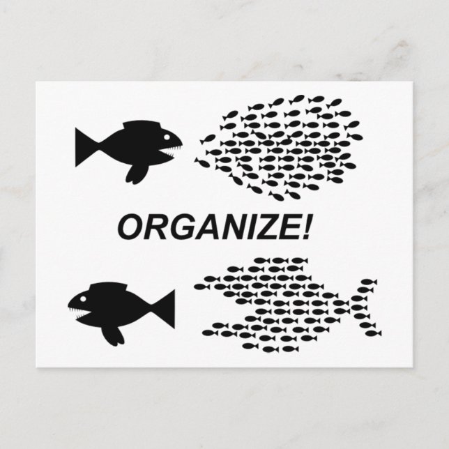 Organize postcard (Front)