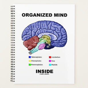Organized Mind Inside Anatomical Brain Humour Planner