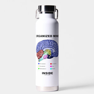 Organized Mind Inside Anatomical Brain Humour Water Bottle