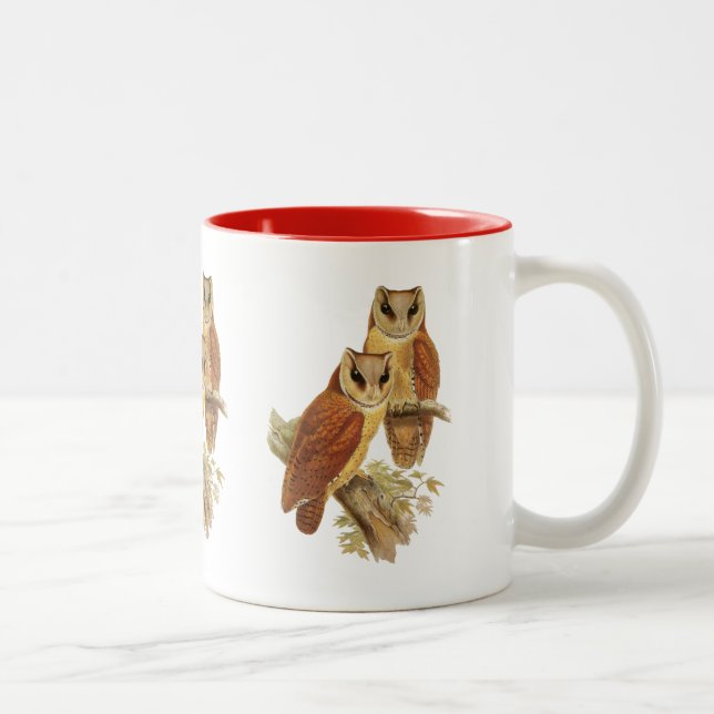Oriental Bay Owl Two-Tone Coffee Mug (Right)