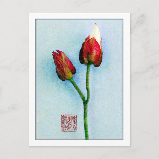 Oriental Buds postcard (Front)