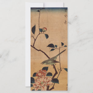 Oriental Camellia and Warbler