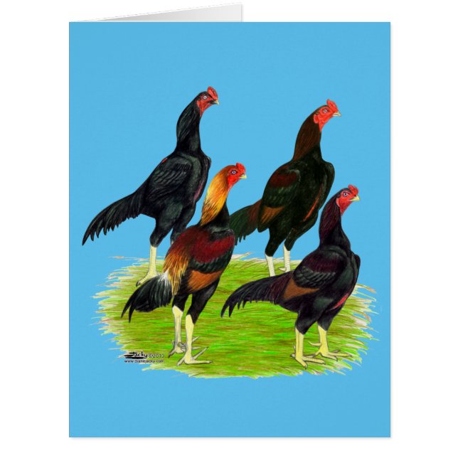 Oriental Game Fowl Quartet (Front)