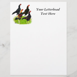 Oriental Game Fowl Quartet