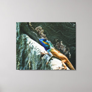Oriental Garden Lizard - Wrapped Canvas