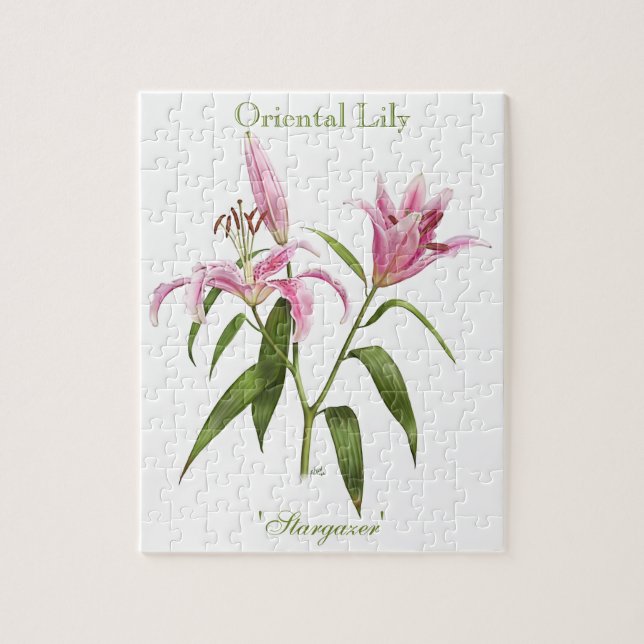 Oriental Lily - Stargazer Jigsaw Puzzle (Vertical)