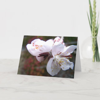 Oriental Peach Bloom Greeting Card