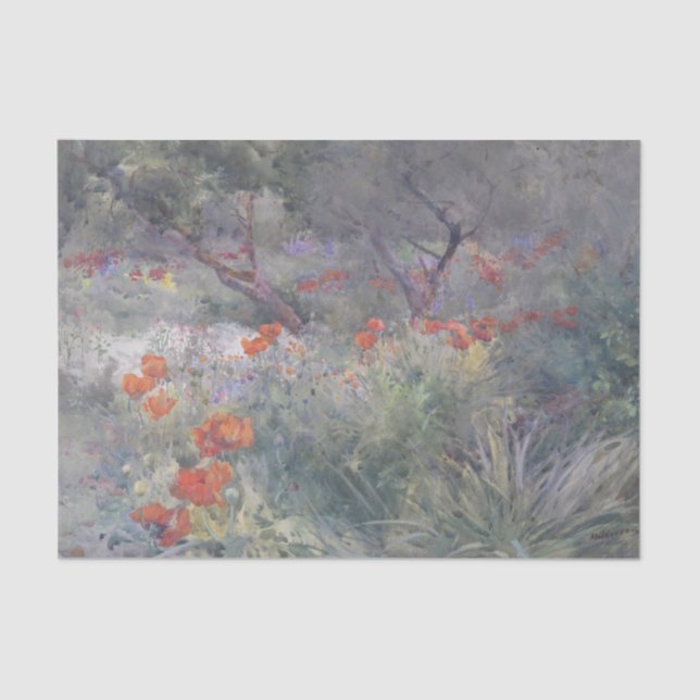 Oriental Poppies by Mildred Anne Butler Tissue Paper (Front)