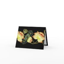 Oriental Poppies Note Card - Blank