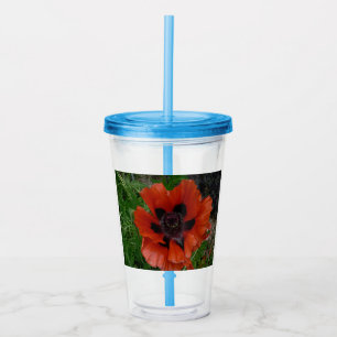 Oriental poppy         acrylic tumbler