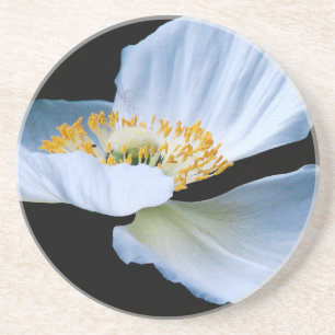 Oriental Poppy Flower Coaster