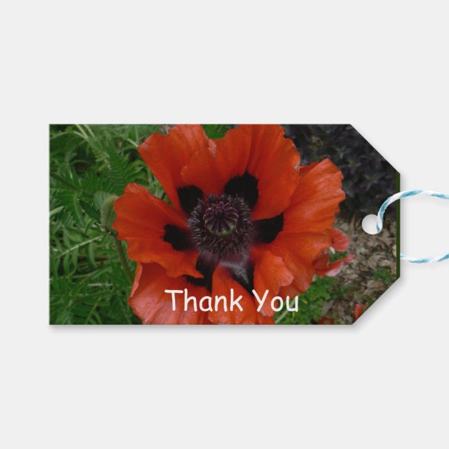 Oriental poppy   gift tags (Front (Horizontal))