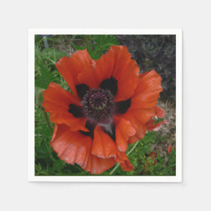 Oriental poppy   napkin