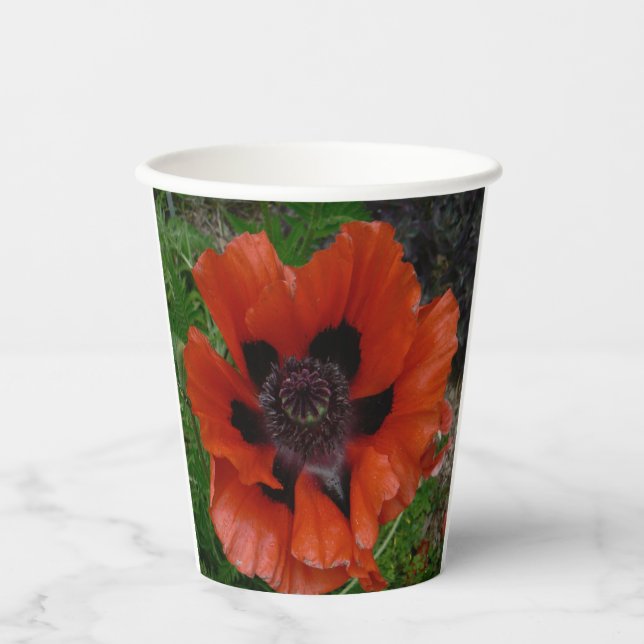 Oriental poppy   paper cups (Front)