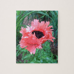 Oriental POPPY "Pink Ruffles" --- Jigsaw Puzzle