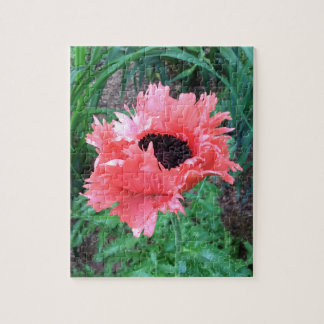 Oriental POPPY "Pink Ruffles" --- Jigsaw Puzzle