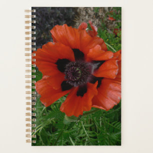 Oriental poppy planner