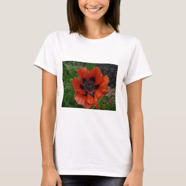 Oriental poppy       T-Shirt (Front)