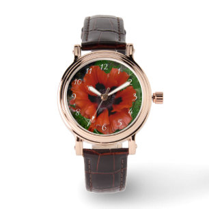 Oriental poppy     watch