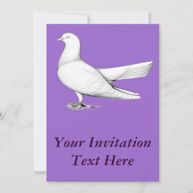 Oriental Roller Pigeon  Flying Type Invitation (Front)
