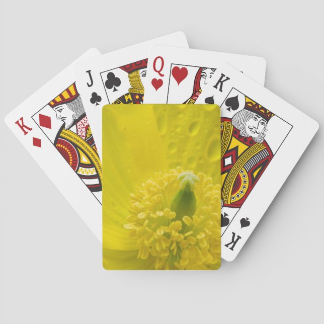 Oriental Yellow Poppy Playing Cards (Back)
