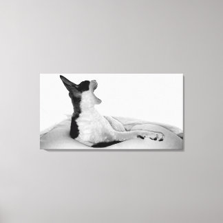 Original art: "Kitsa Diva" Canvas Print