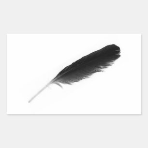 Original cute black feather on a white background sticker