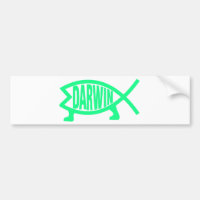Original Darwin Fish (Seafoam)