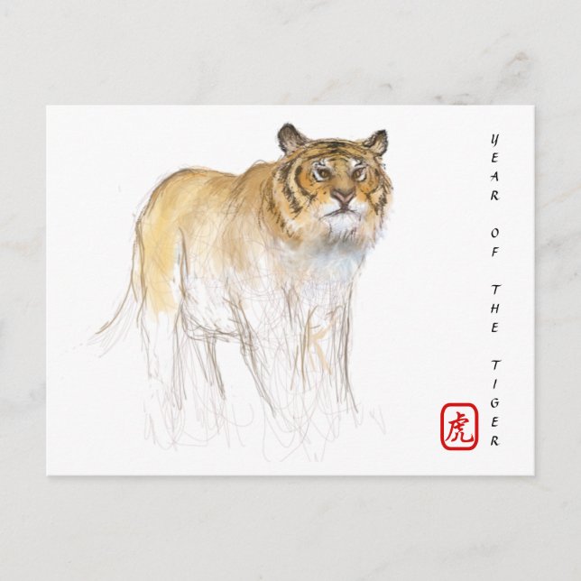 Original Drawing Chinese Tiger Year Birthday HPC Holiday Postcard (Front)