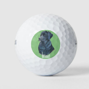 original portrait picture of black labrador dog golf balls