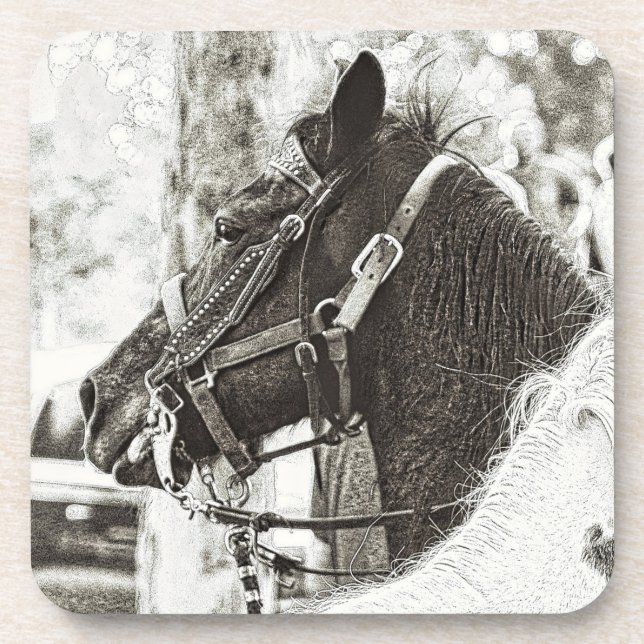 Original stylized black & white graphic art horse coaster (Front)