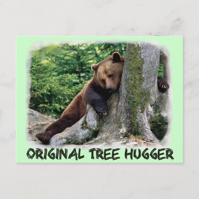 Original Tree Hugger Brown Bear Postcard (Front)