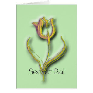 Original Tulip