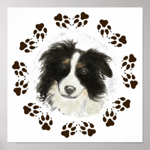 Original Watercolor Border Collie Dog pet Poster