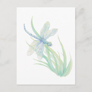 Original Watercolor Dragonfly in Blue and Green Postcard