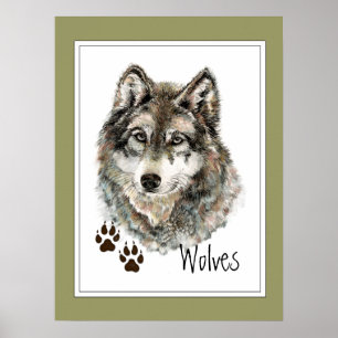Original Watercolor Gray Wolf- Tracks Animal Poster